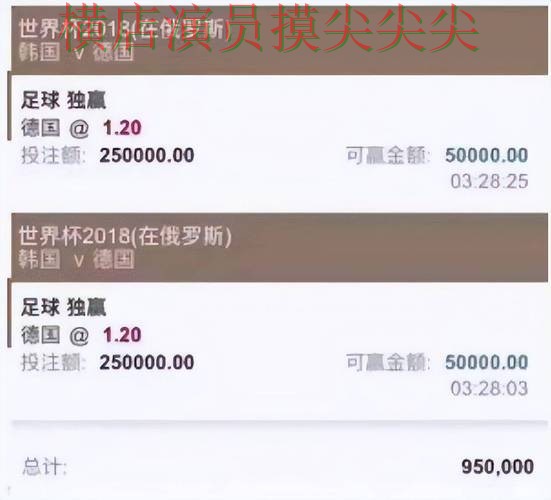 世界杯全球总决赛背景下的世界杯投注平台合集盘点与稳定性评测